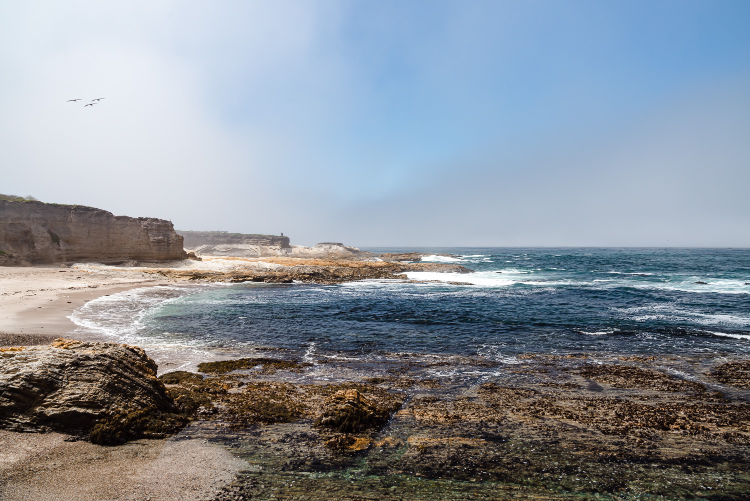 Montana de Oro State Park 加利福尼亚州 ©詹妮弗·卡尔摄影-81.jpg