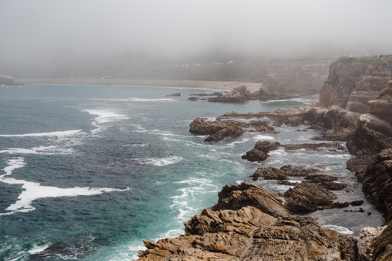 Montana de Oro State Park 加利福尼亚州 ©詹妮弗·卡尔摄影-96.jpg