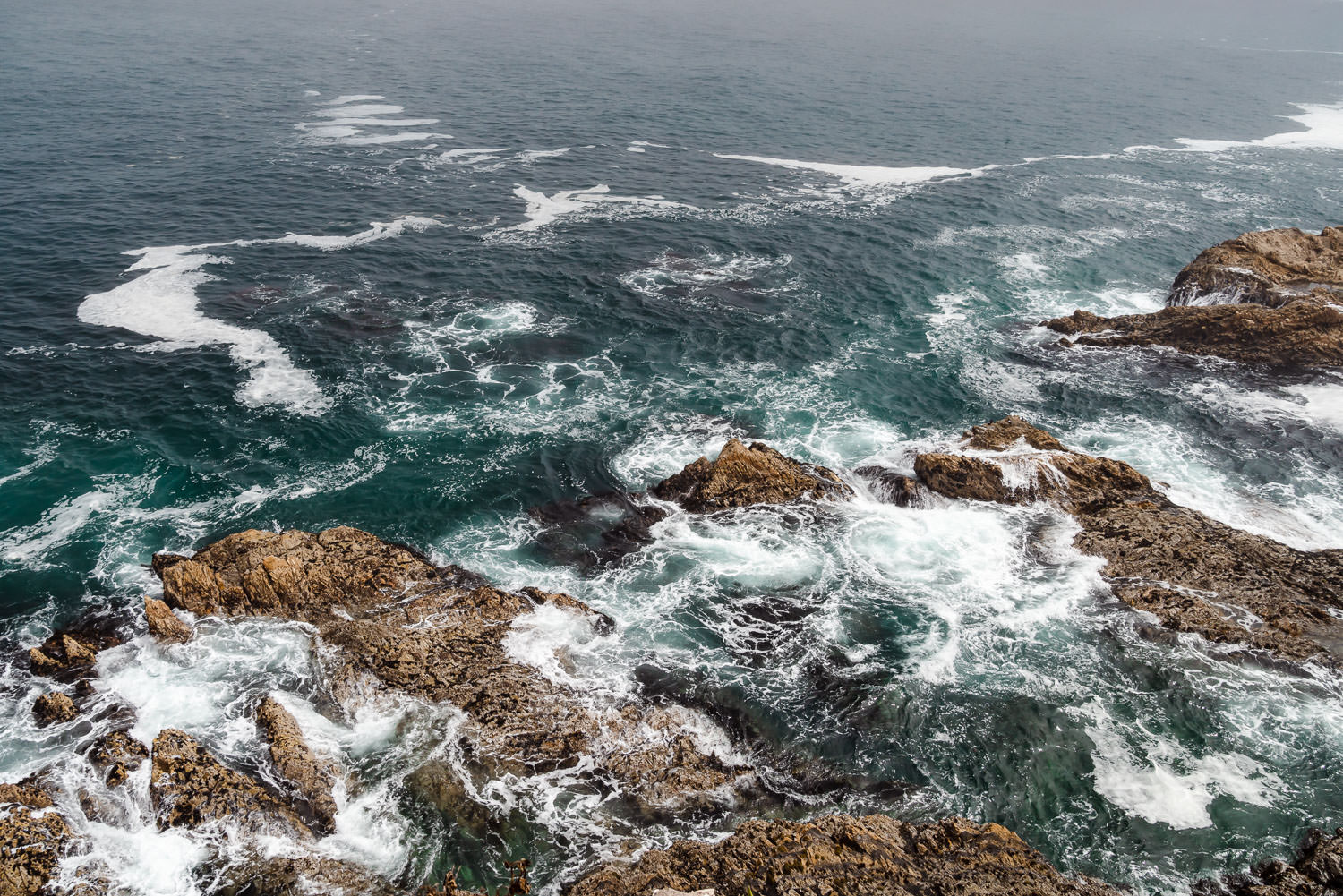 Montana de Oro State Park 加利福尼亚州 ©詹妮弗·卡尔摄影-97.jpg