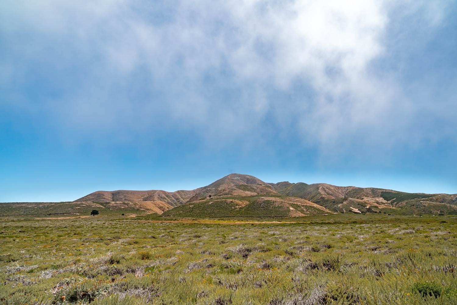 Montana de Oro State Park 加利福尼亚州 ©詹妮弗·卡尔摄影-102.jpg