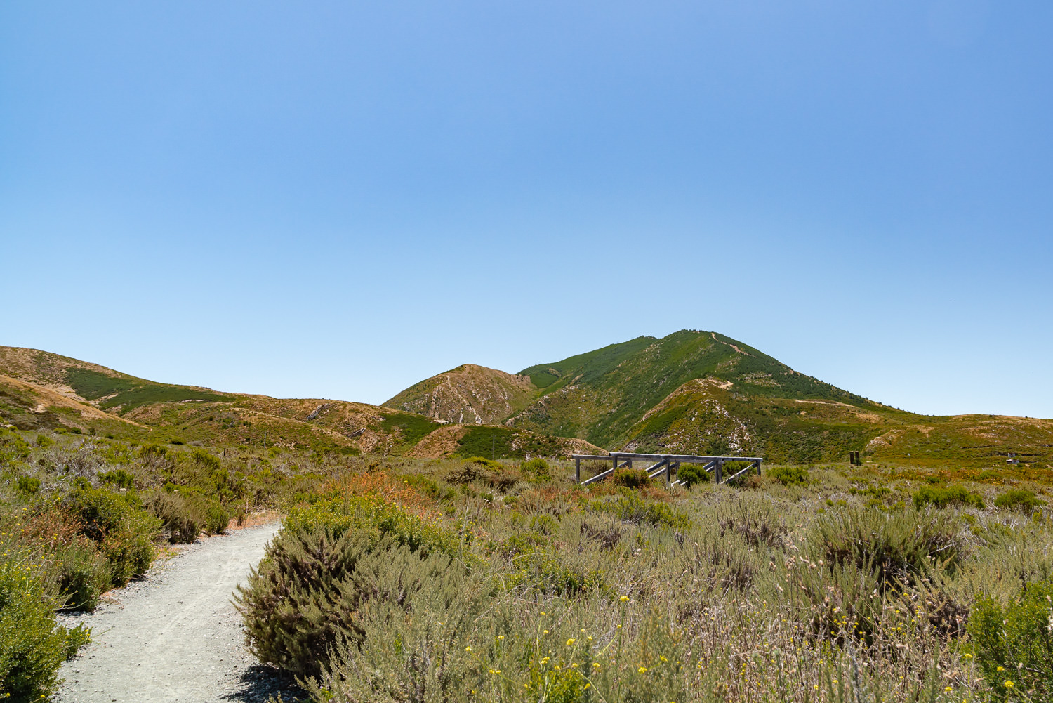 Montana de Oro State Park 加利福尼亚州 ©詹妮弗·卡尔摄影-103.jpg