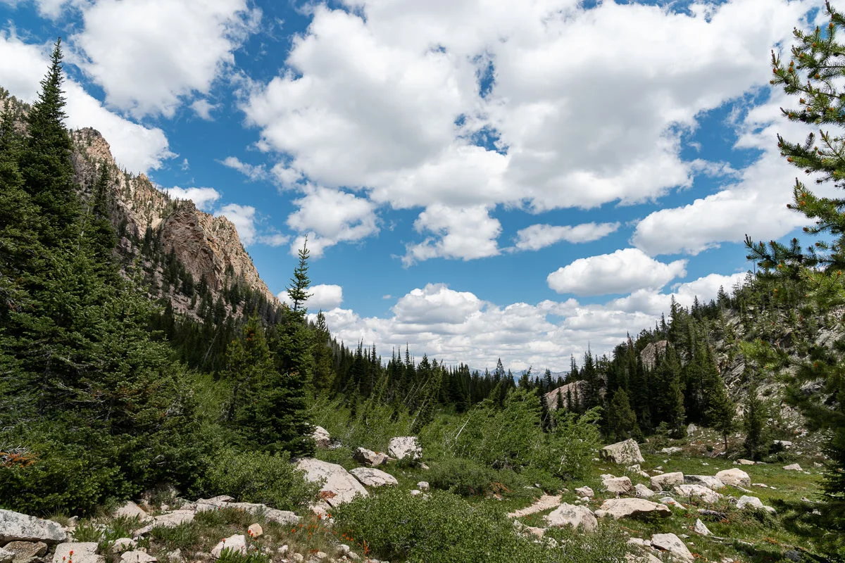 Sawtooth Mountains 爱天天竞猜网 ©詹妮弗·卡尔摄影-82.jpg