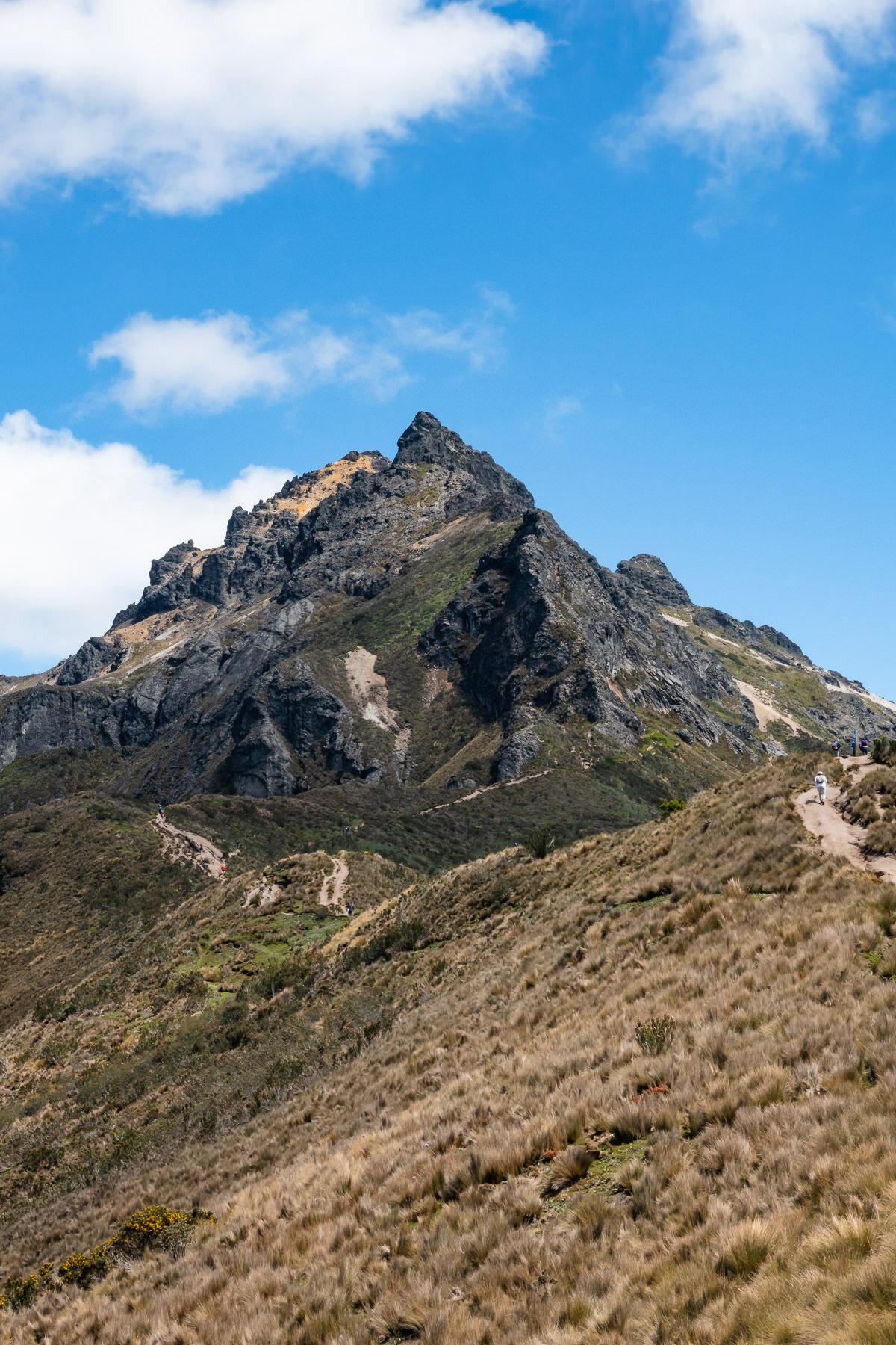 2018.08.12 Vulcan Rucu Pichincha Quito 厄瓜多尔 ©詹妮弗·卡尔摄影-20.jpg