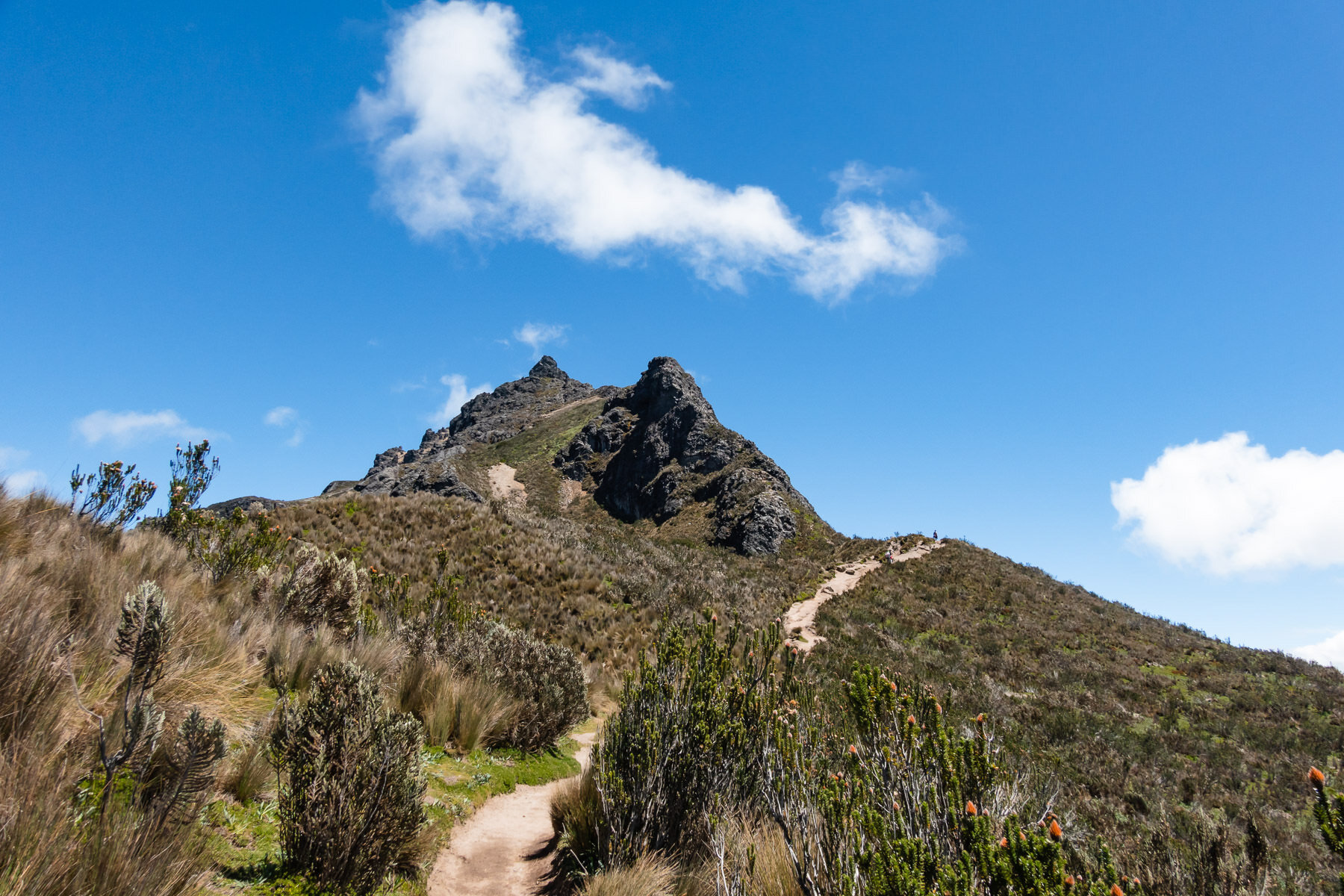 2018.08.12 Vulcan Rucu Pichincha Quito 厄瓜多尔 ©詹妮弗·卡尔摄影-25.jpg
