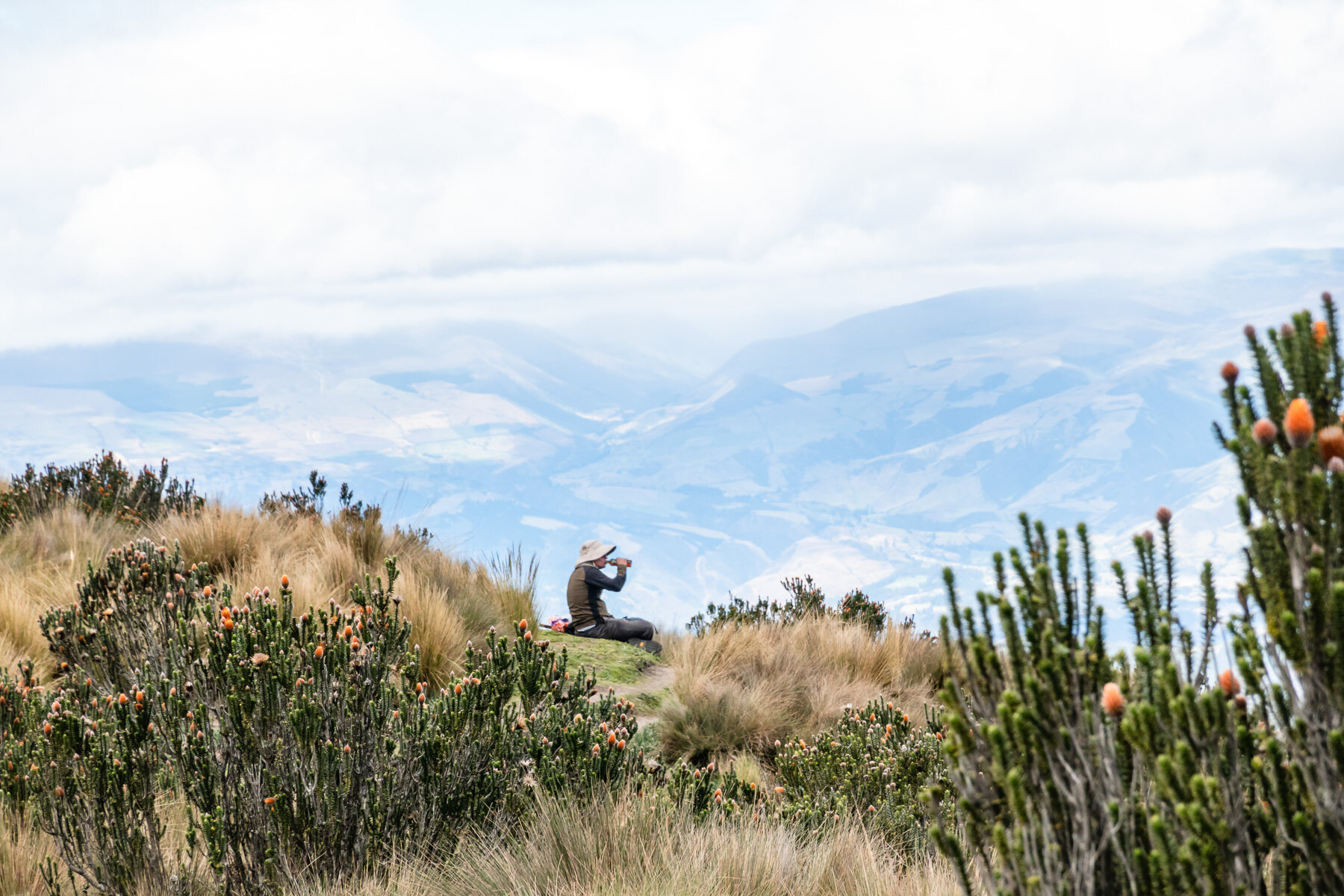 2018.08.12 Vulcan Rucu Pichincha Quito 厄瓜多尔 ©詹妮弗·卡尔摄影-32.jpg