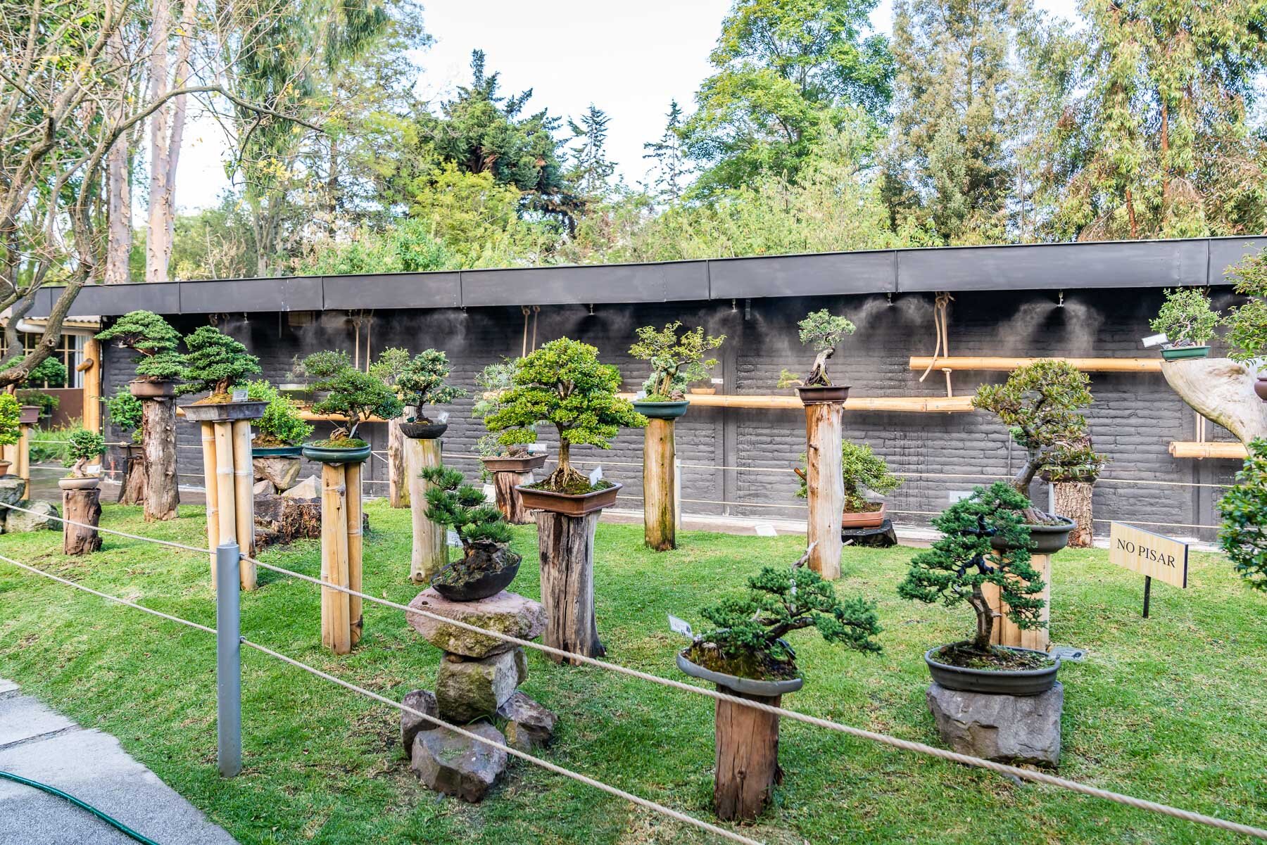 2018.08.24 Quito Botanical Gardens ©詹妮弗·卡尔摄影-32.jpg