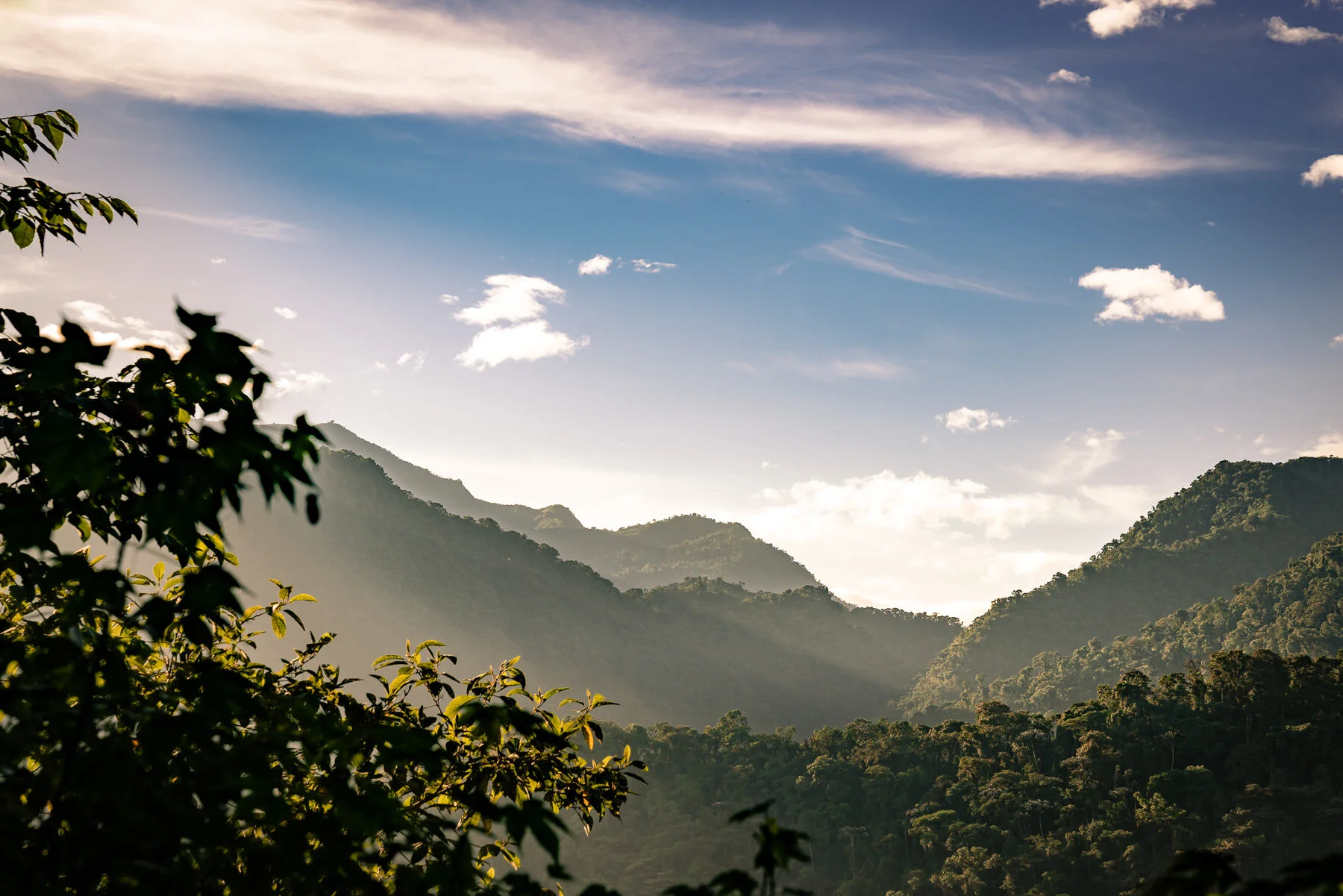 2018.08.26 Bellavista Cloud Forest 厄瓜多尔 ©詹妮弗·卡尔摄影-7-36.jpg