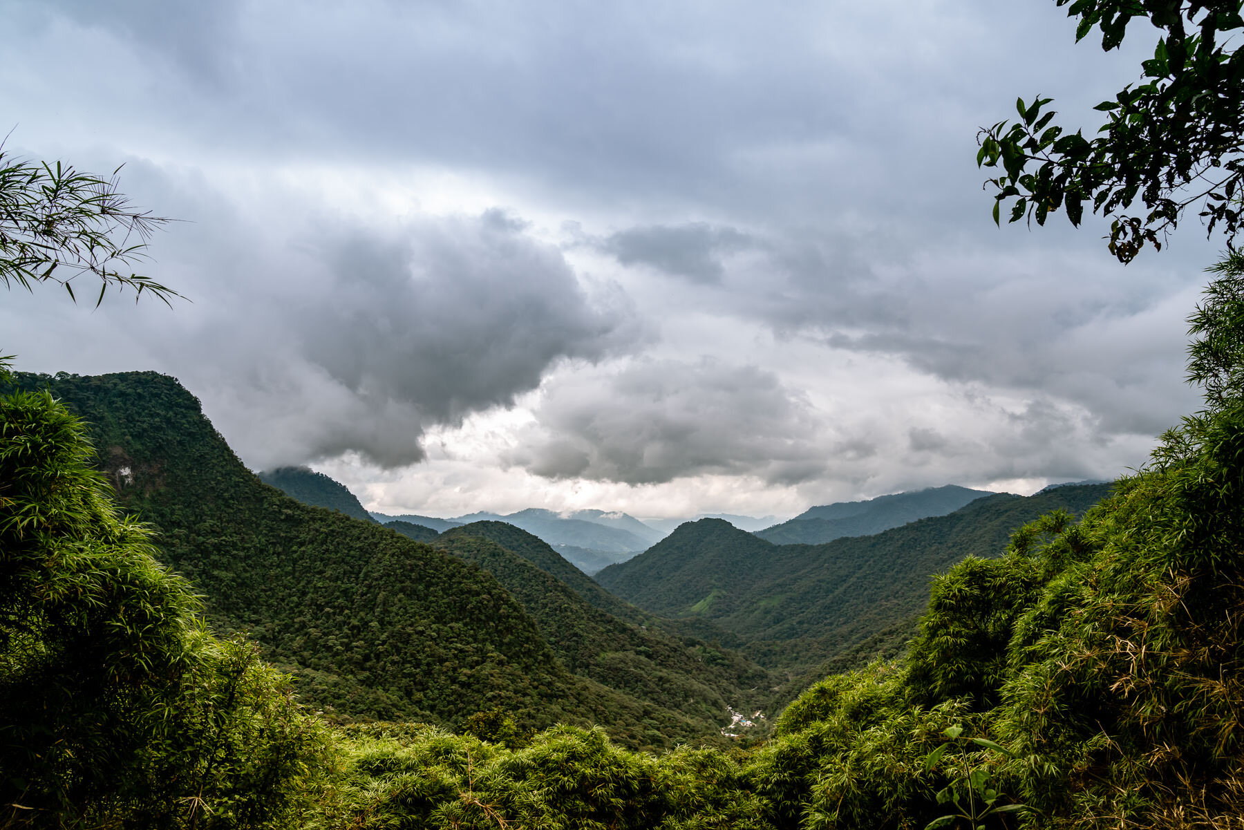 2018.08.25 天天竞猜网 Cloud Forest Bellavista ©詹妮弗·卡尔摄影-20-48.jpg
