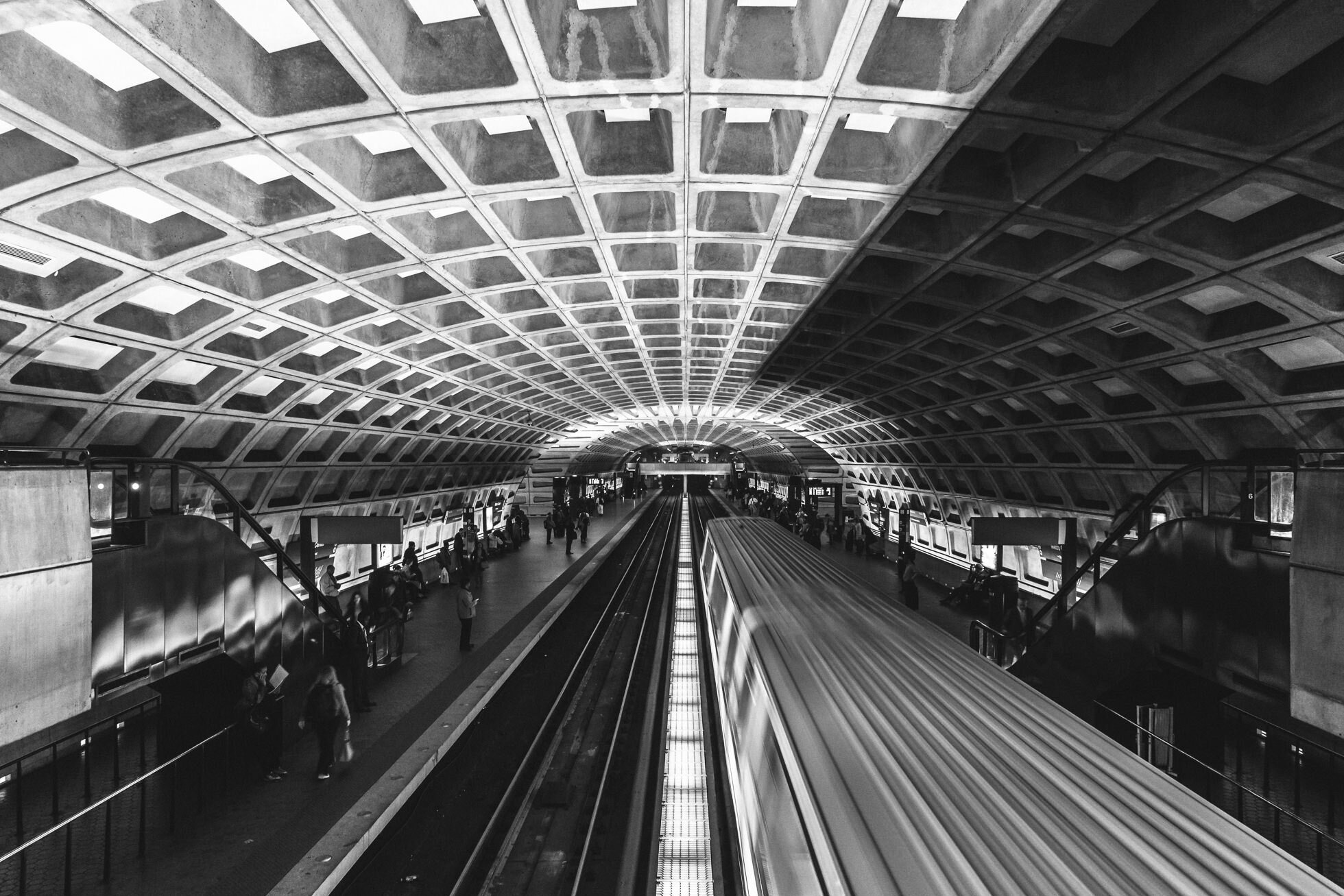 Washington DC ©詹妮弗·卡尔摄影-16.jpg