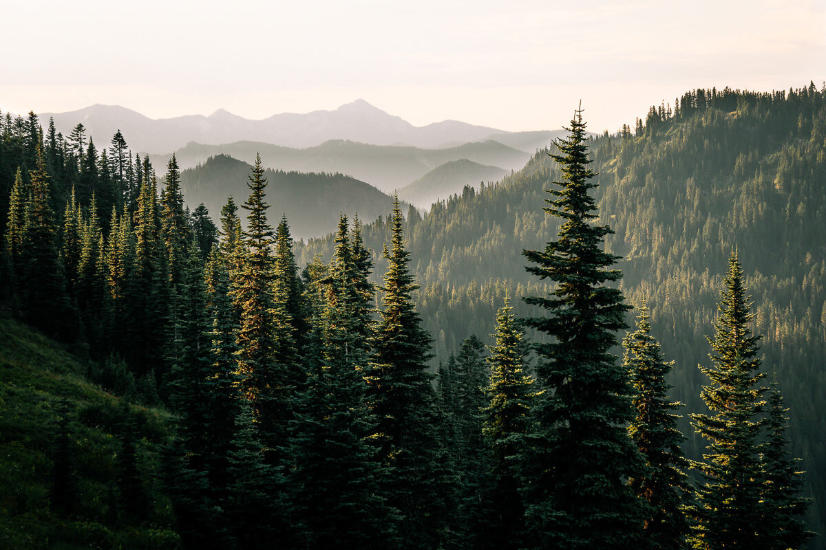 Mount Baker Snoqualmie国家森林