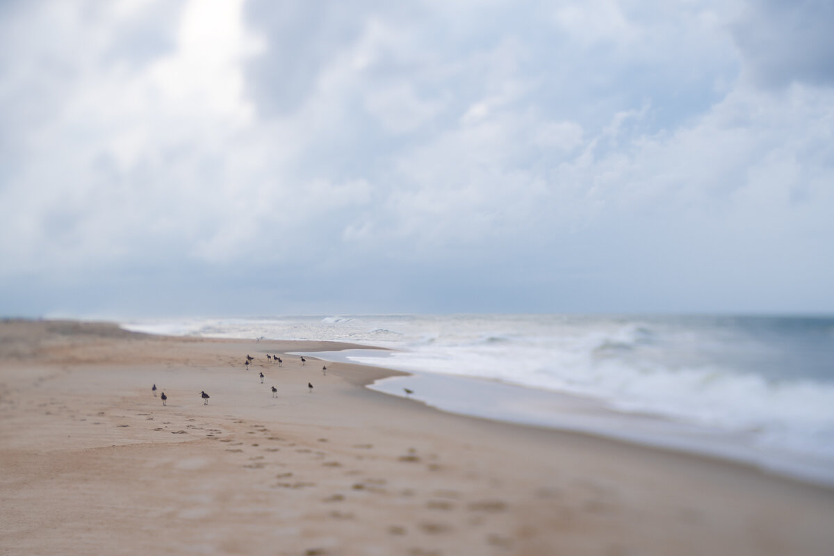 Lensbaby Edge in Cape Hatteras ©詹妮弗·卡尔摄影-8.jpg
