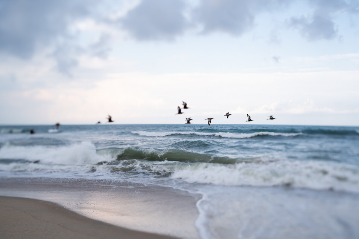 Lensbaby Edge in Cape Hatteras ©詹妮弗·卡尔摄影-11.jpg
