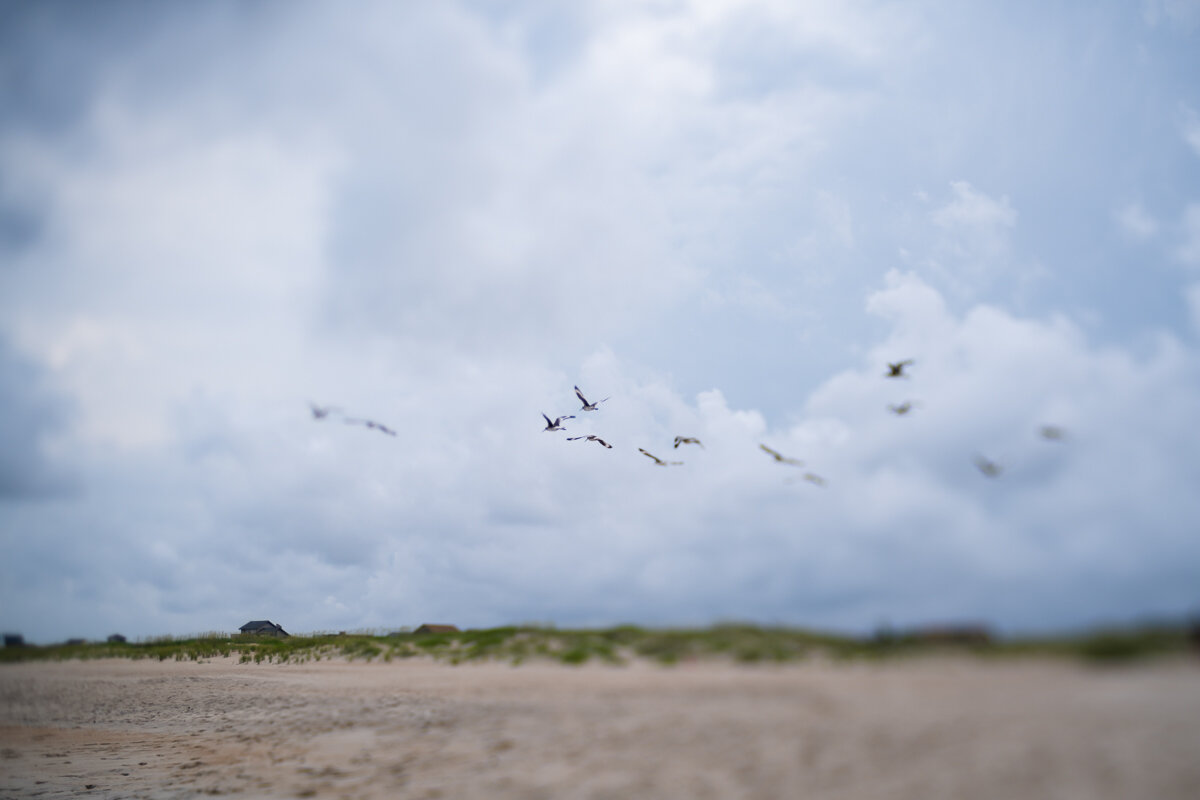 Lensbaby Edge in Cape Hatteras ©詹妮弗·卡尔摄影-9.jpg