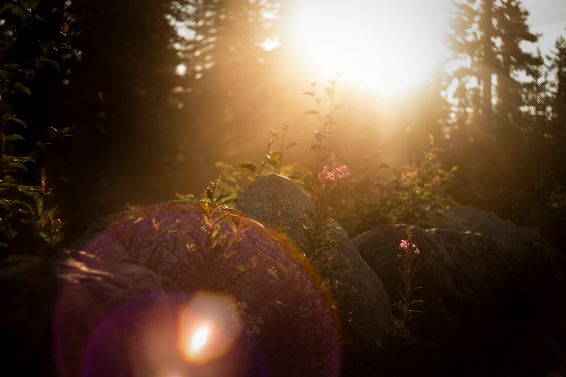 Lensbaby Edge 80