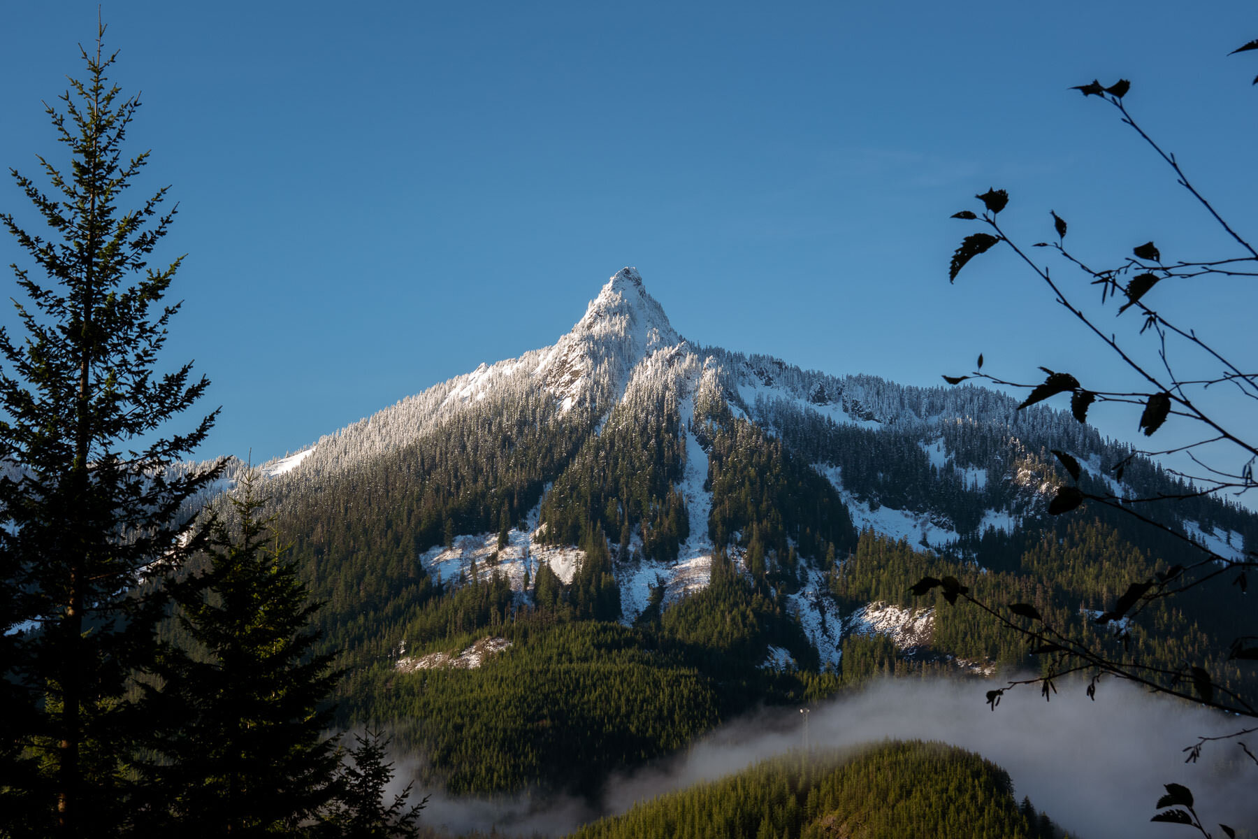 McClellan Butte(5109英尺)