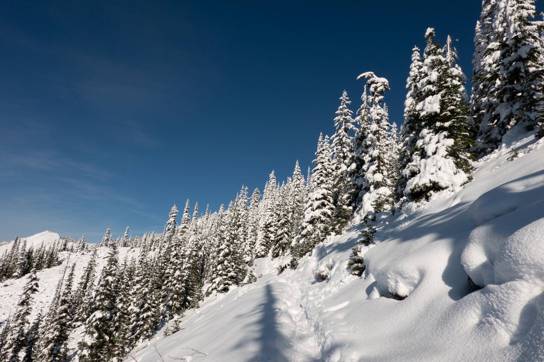 IRA SPRINGS Trail.