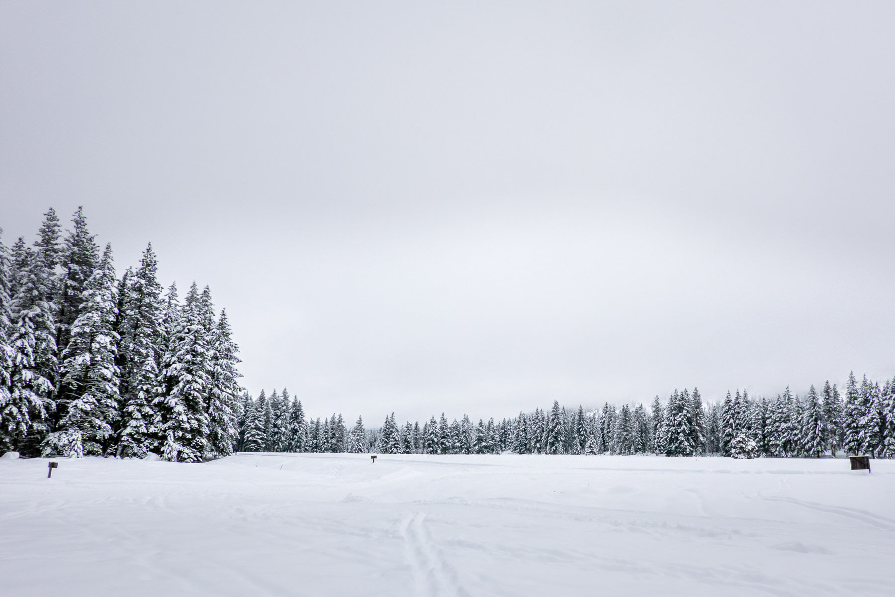 Methow Trails.,Cross Country Ski地区