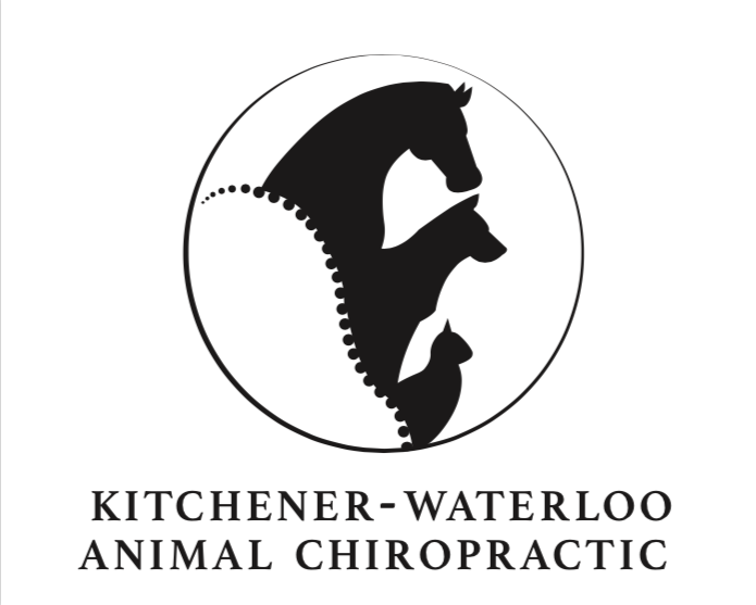 KW Animal Chiropractic