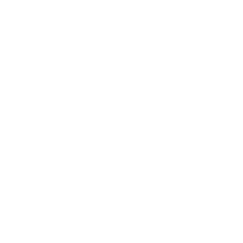 Fit and Grit Training