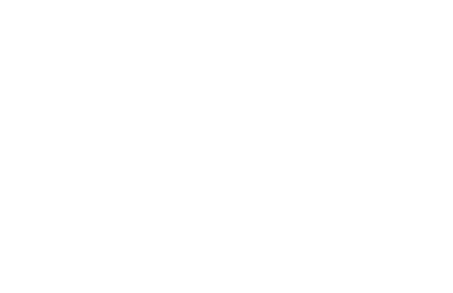 THE WEDDA GROUP