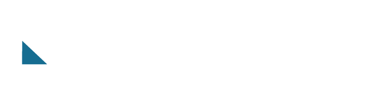 NAVS - North American Vehicle Services
