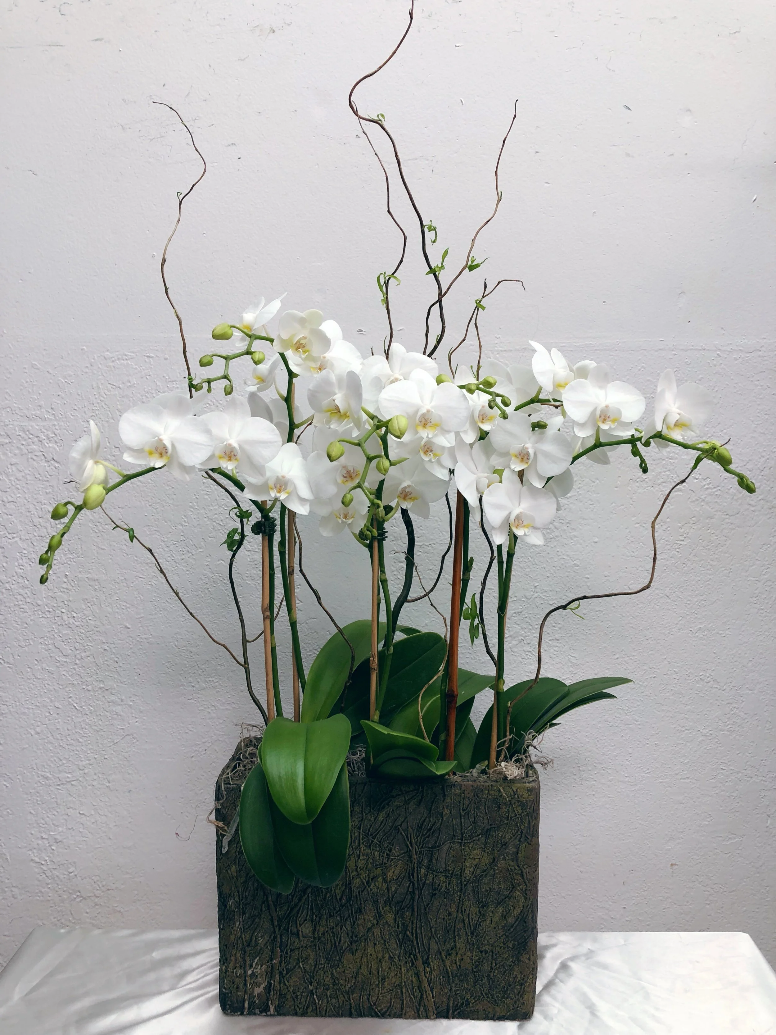 LP1 — All Season Florist & Gifts 四季花舖