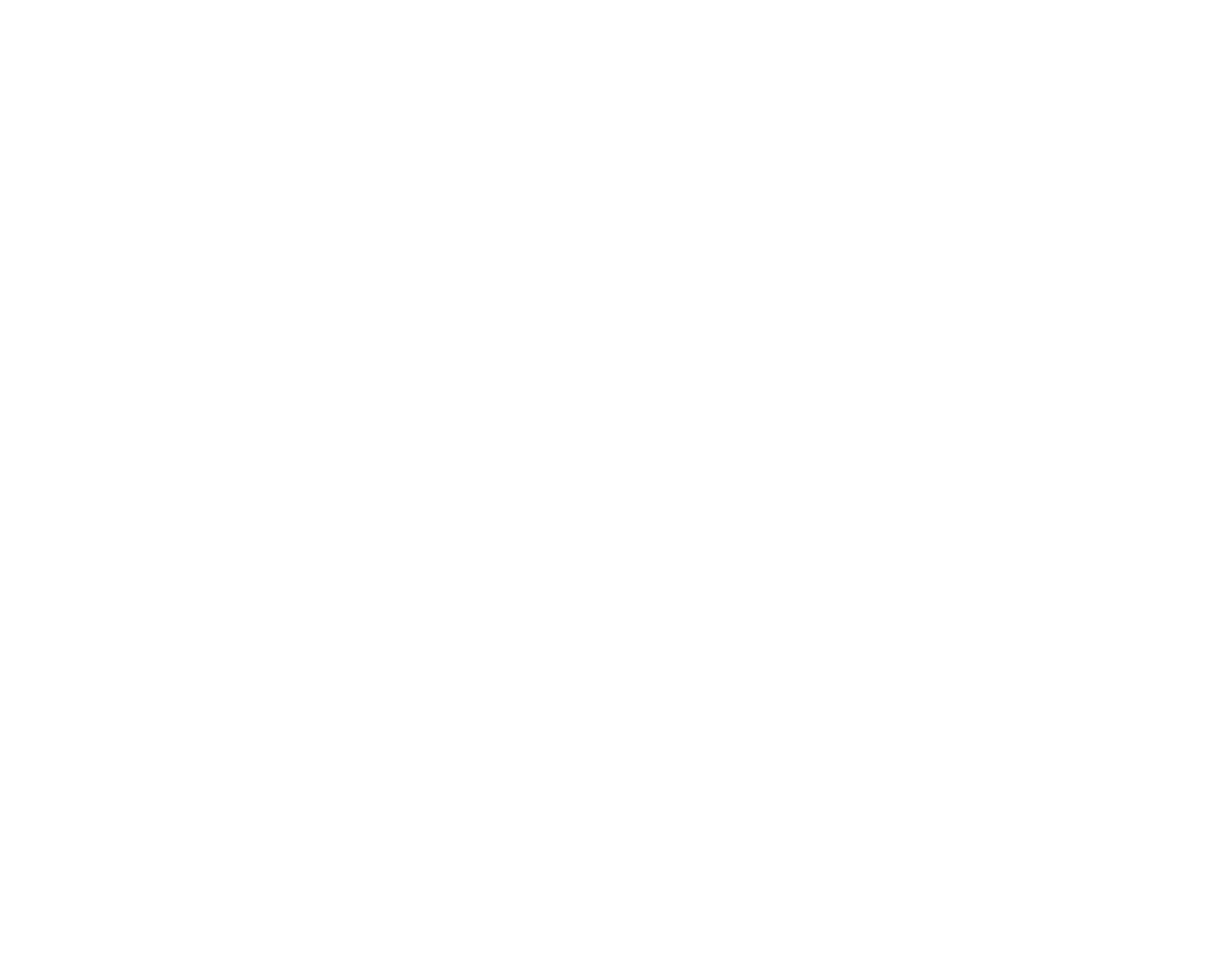 Skagen Ship Consulting AS