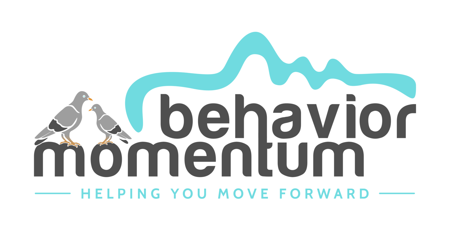 BEHAVIOR MOMENTUM, LLC