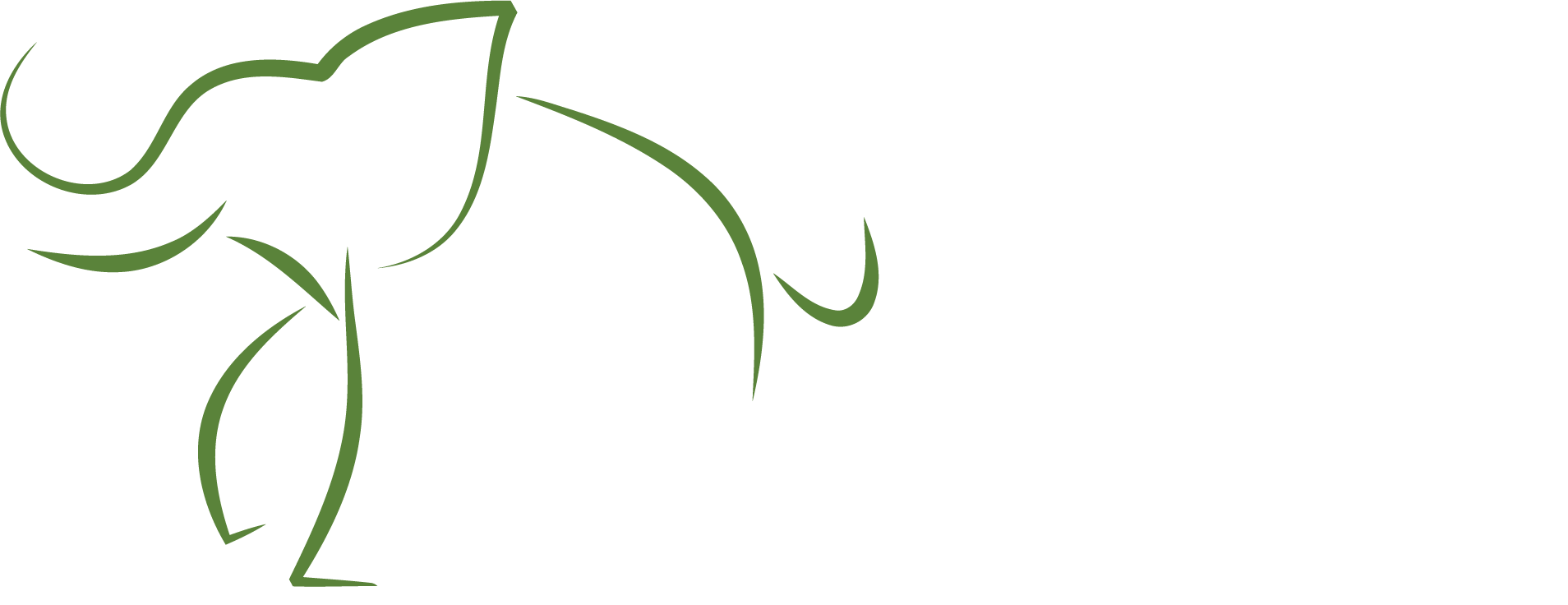 Chang Kao