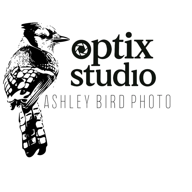 Optix: Ashley Bird Photography