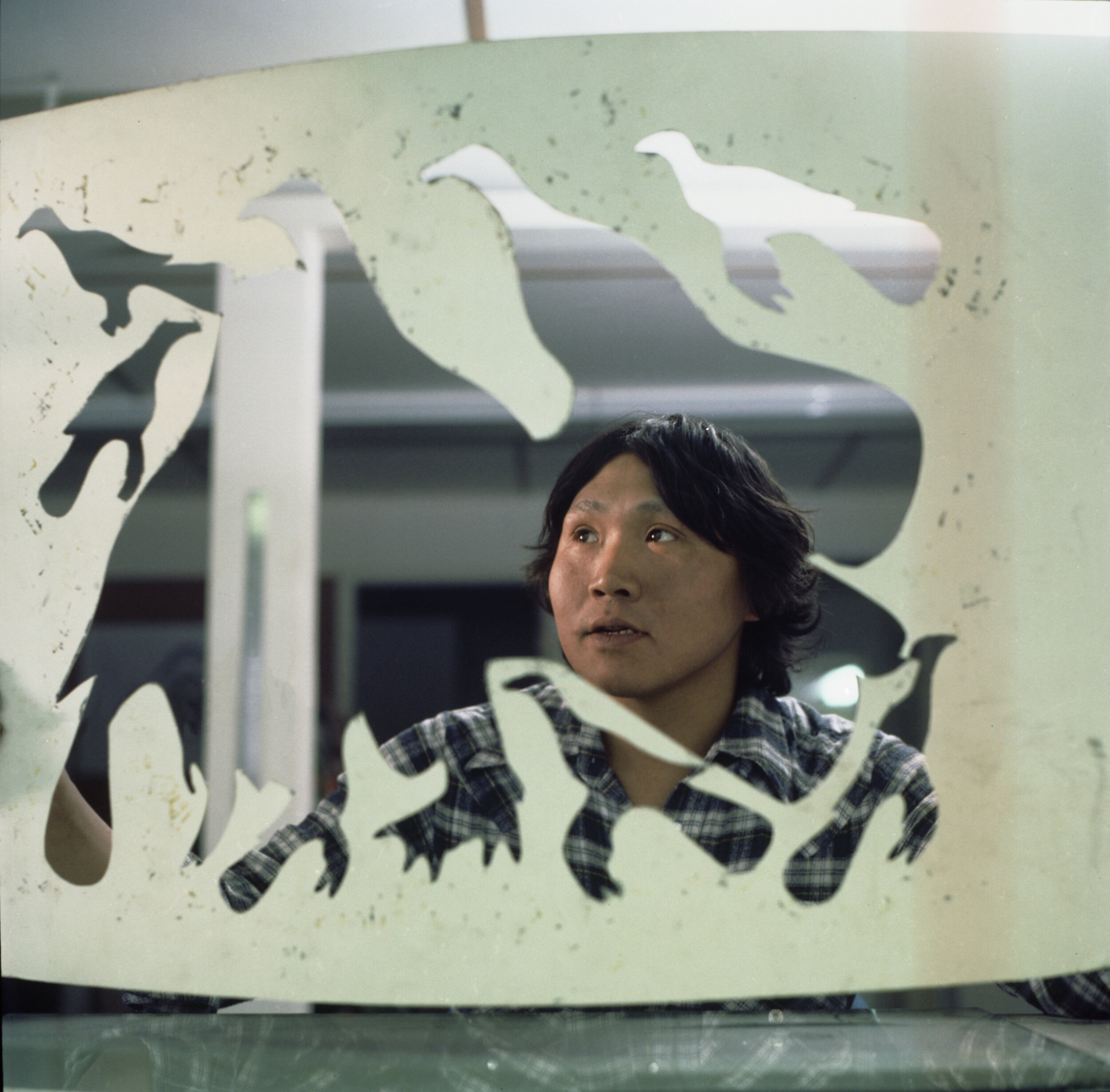 "Cape Dorset'鸟类领域的合作社",乔治亨特,1978年