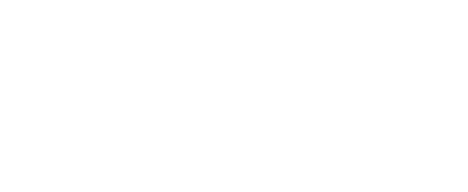 BUSTER CAPITAL