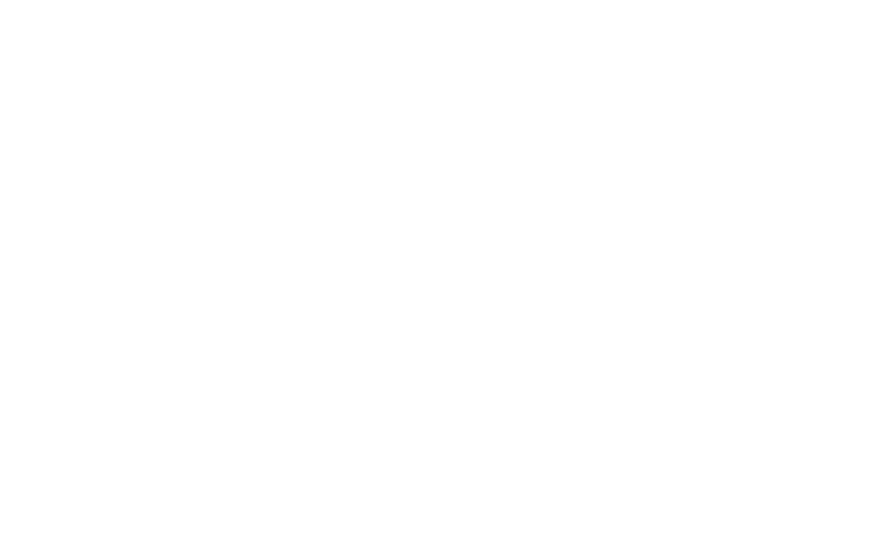 METZLERS