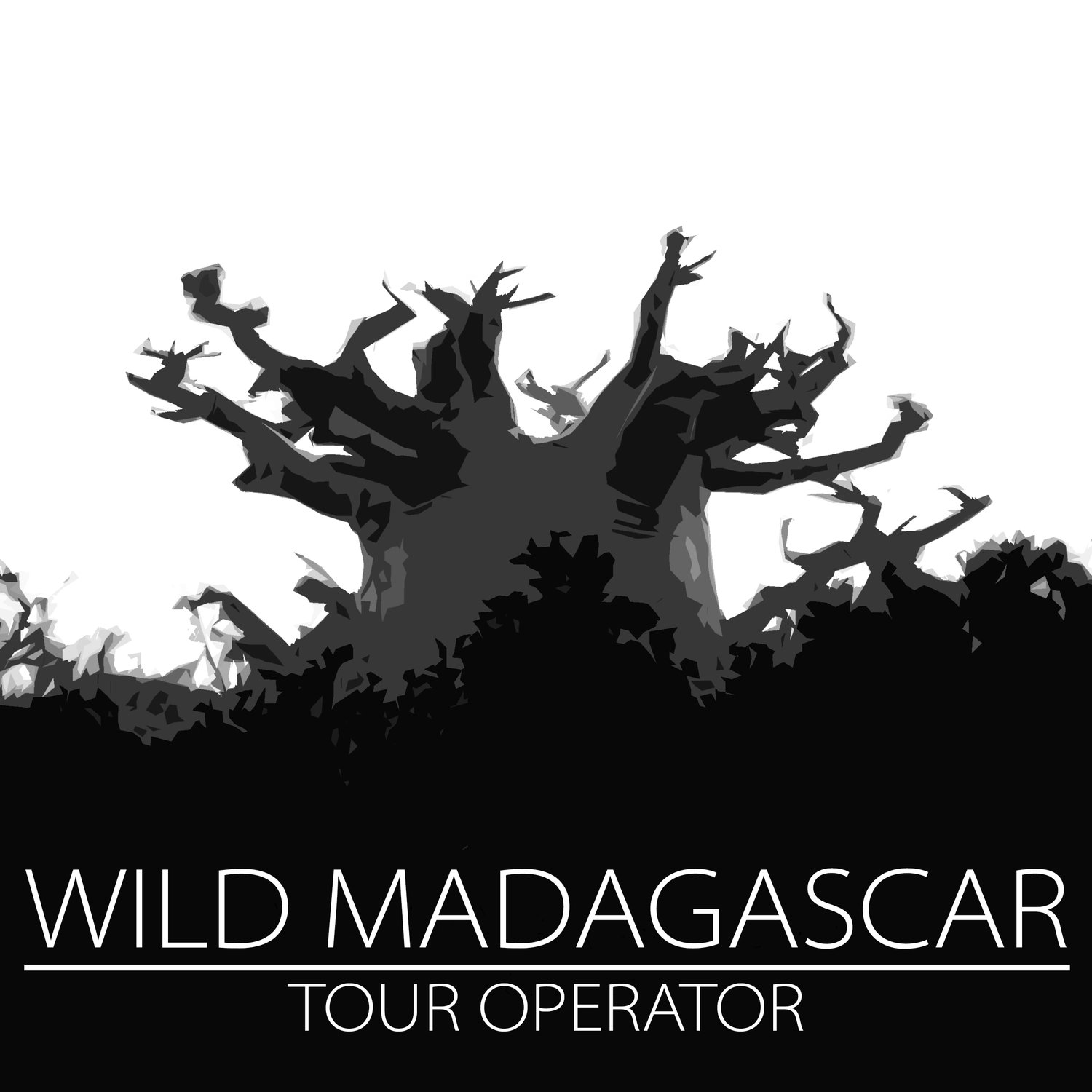 Wild Madagascar incoming tour operator Madagascar