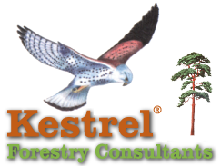 Kestrel Forestry Consultants