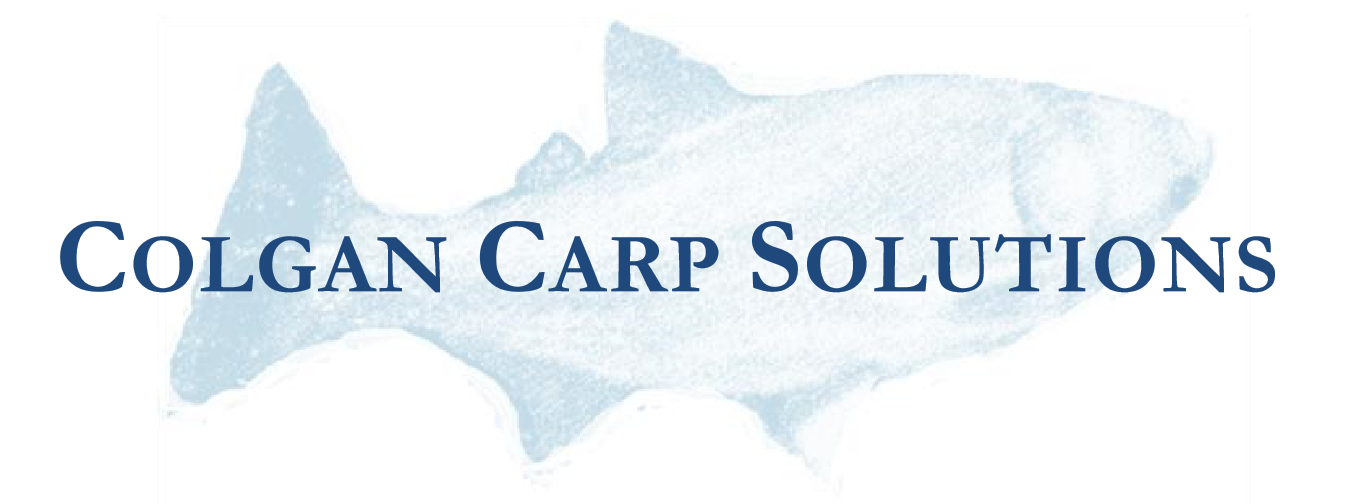 Colgan Carp Solutions