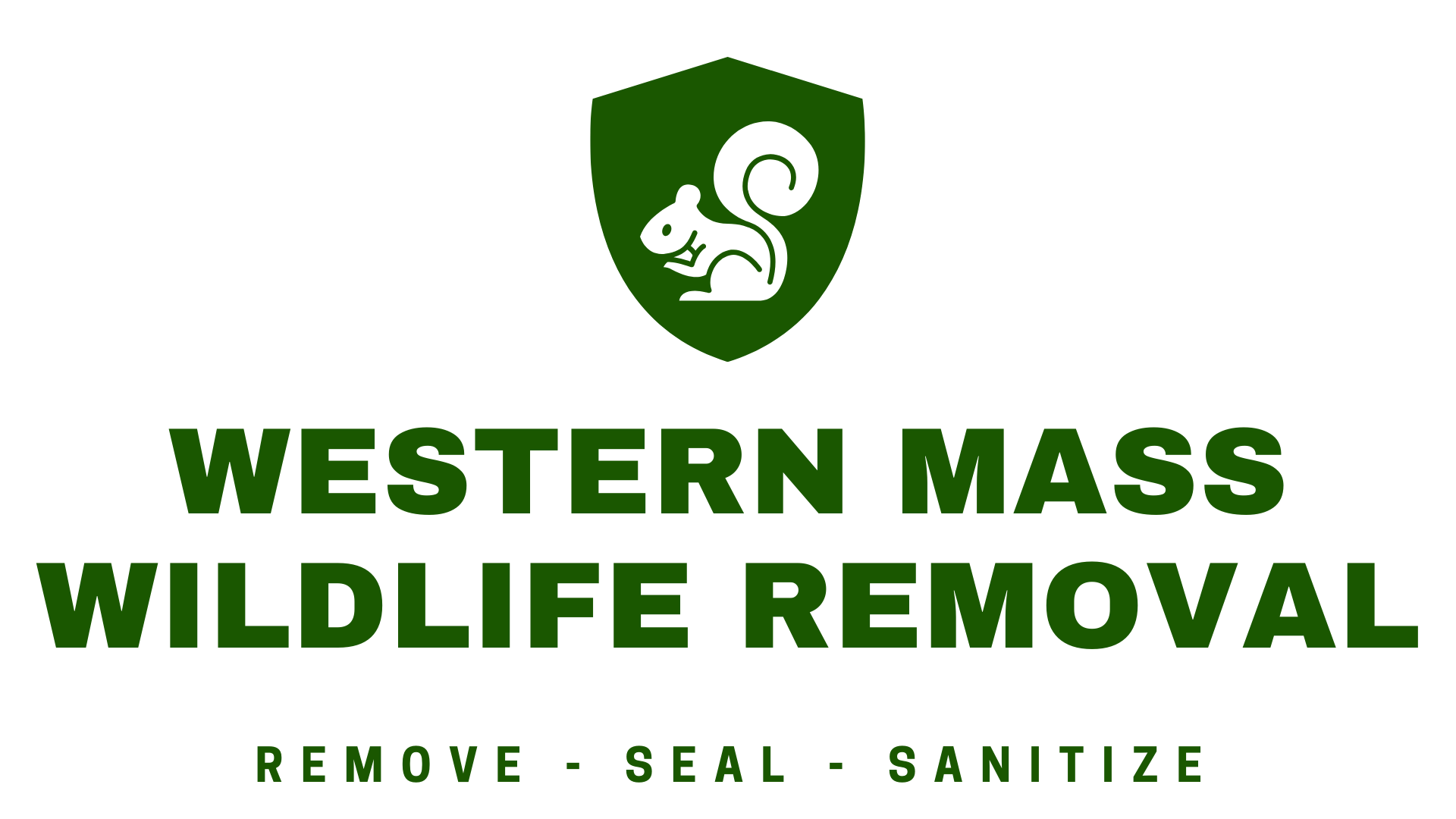 Western Mass Wildlife Removal
