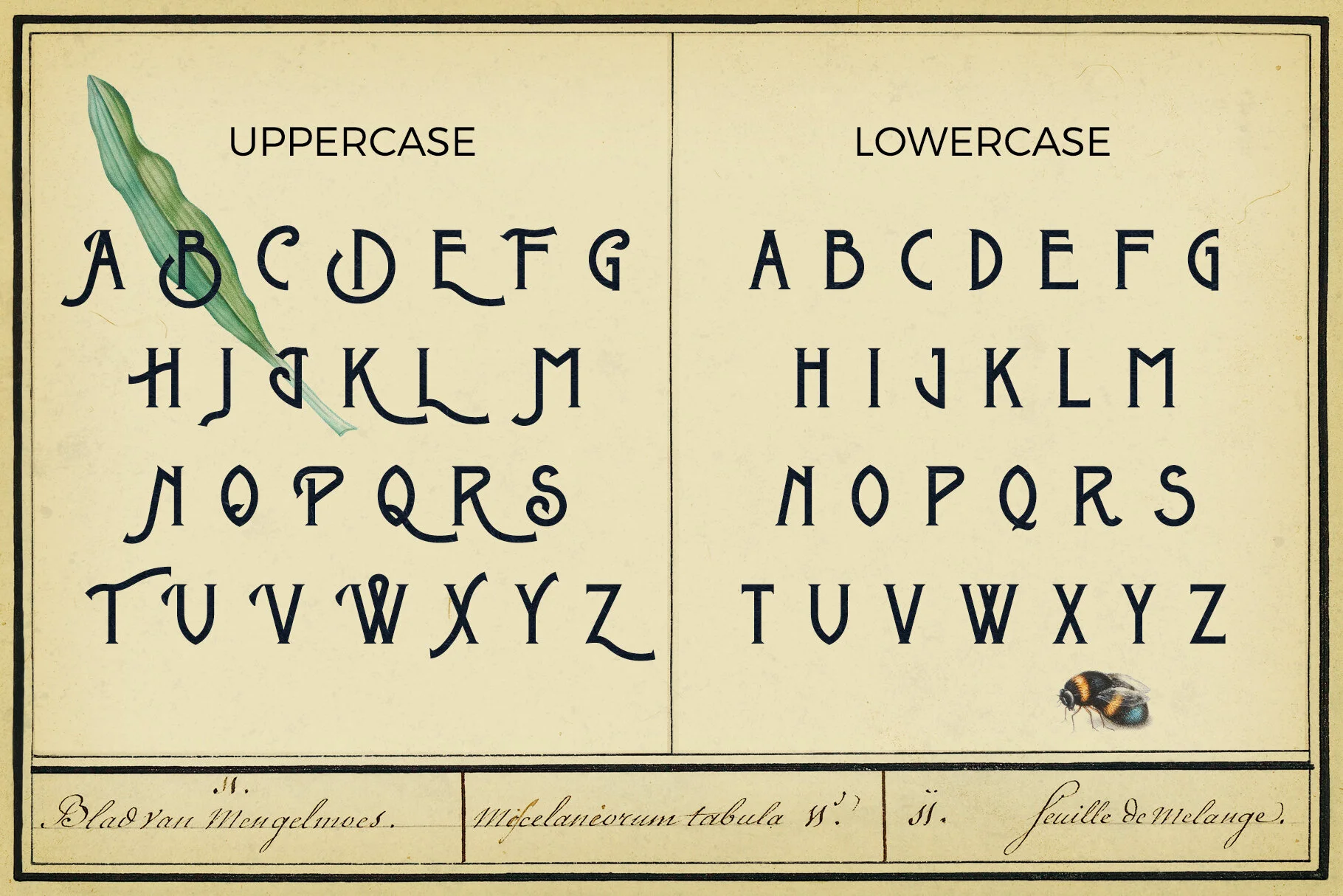 Download Metrobrew Vintage Font Retro Font Old Font Serif Font Display Font Jonas Stensgaard A Passionate Graphic Designer PSD Mockup Templates