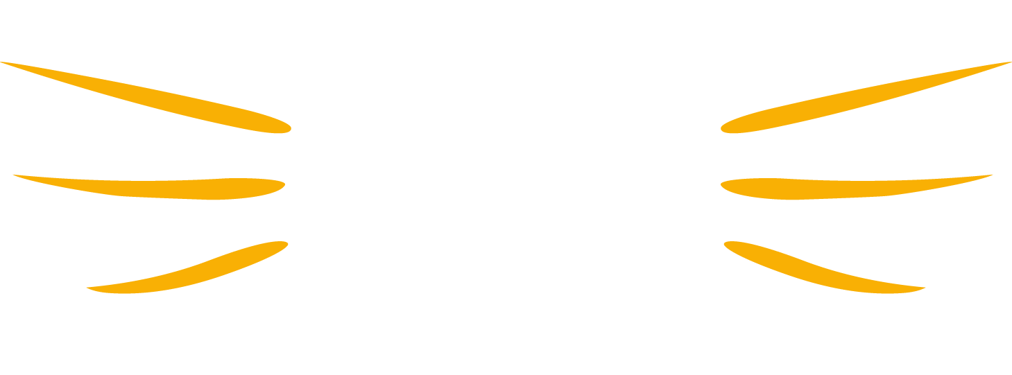 Gym Cats