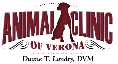 Animal Clinic Of Verona