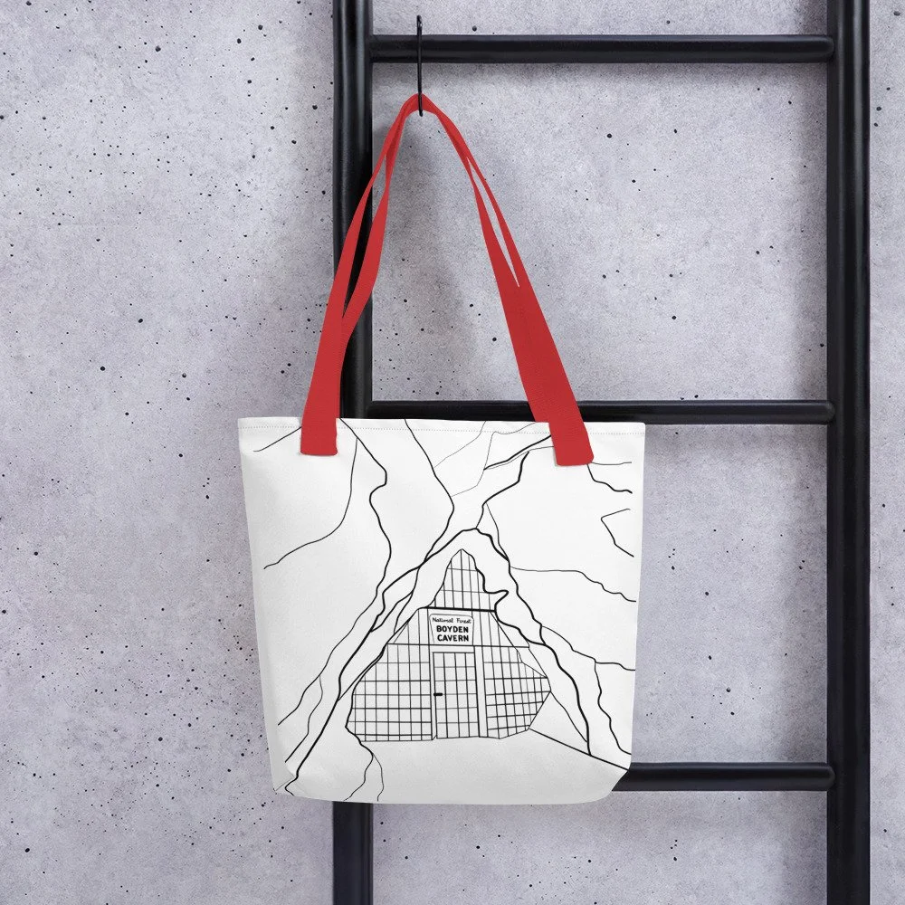 Back tote bag online