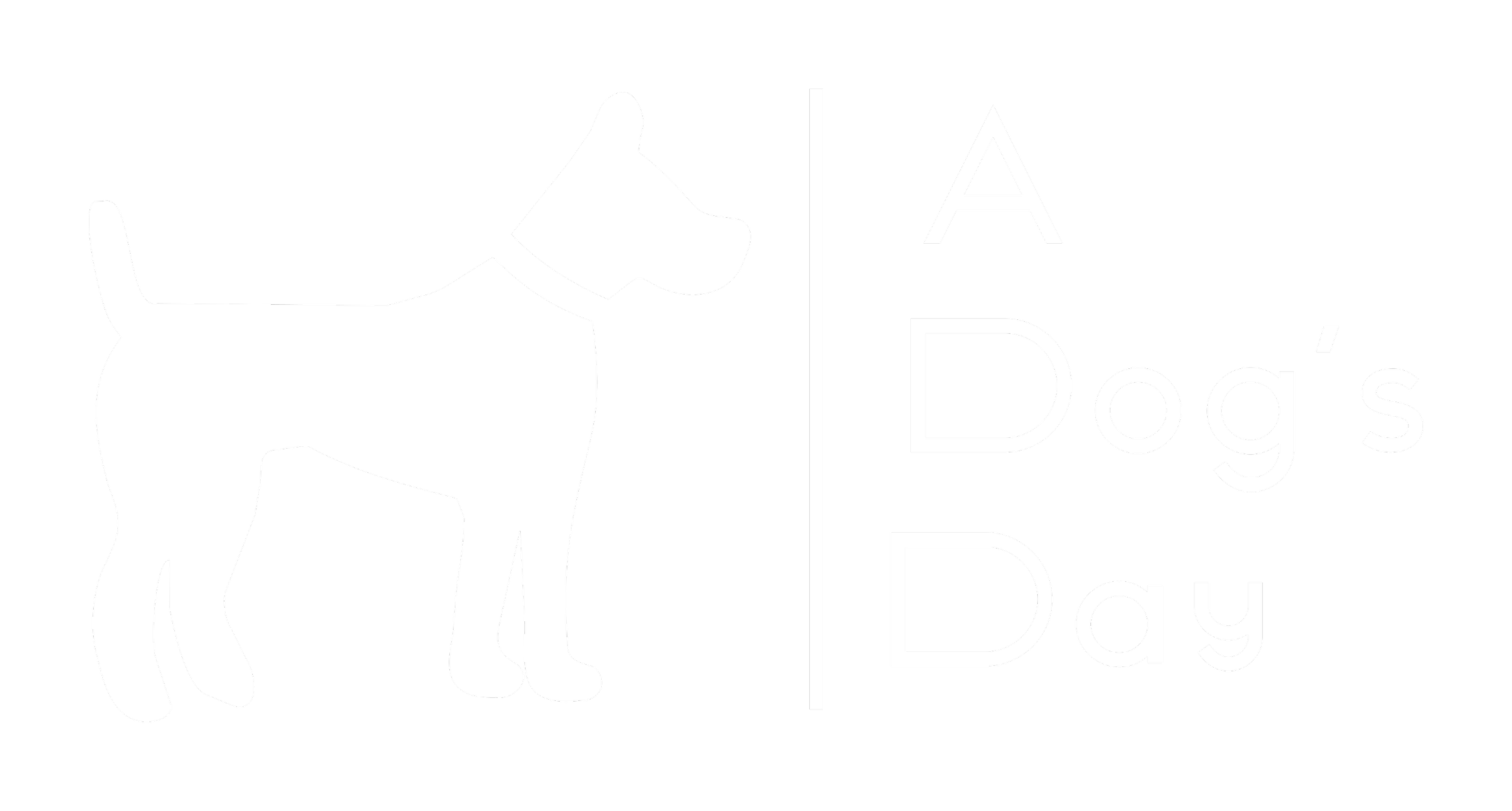 A Dogs Day 