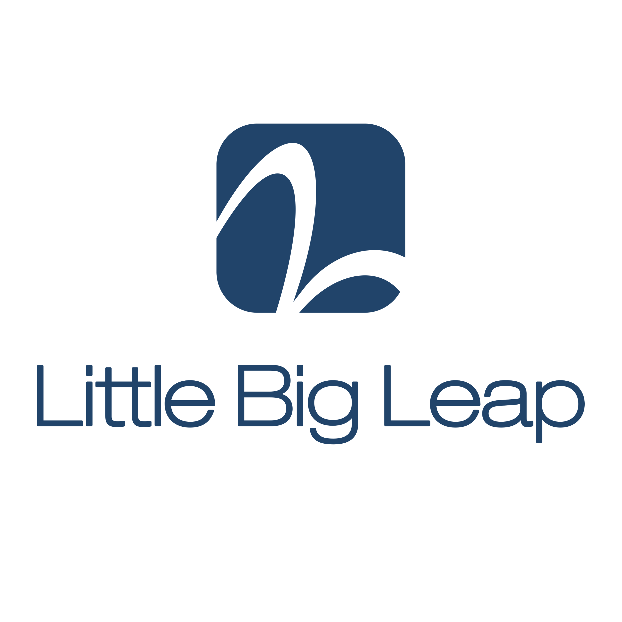Little Big Leap Coaching