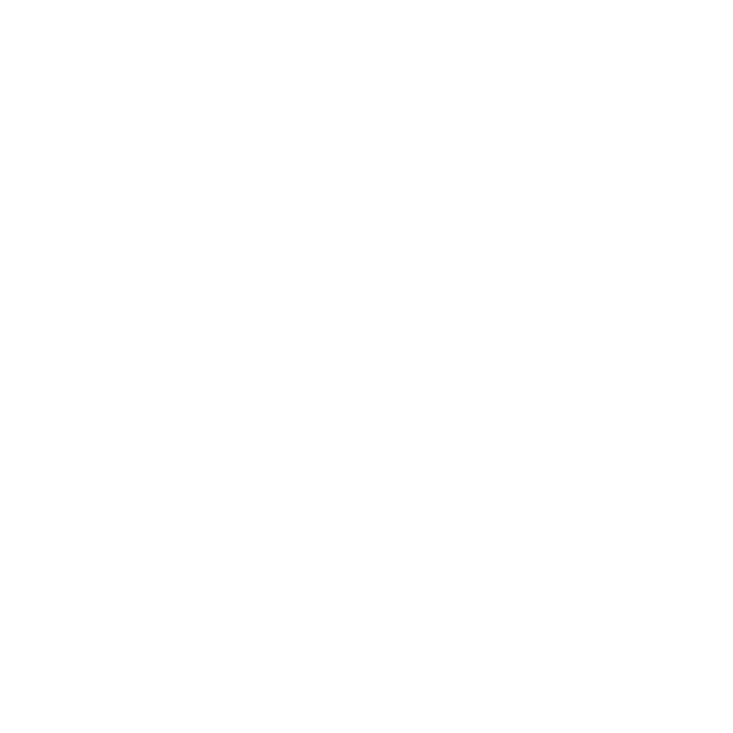 Team Rahsaan Fitness