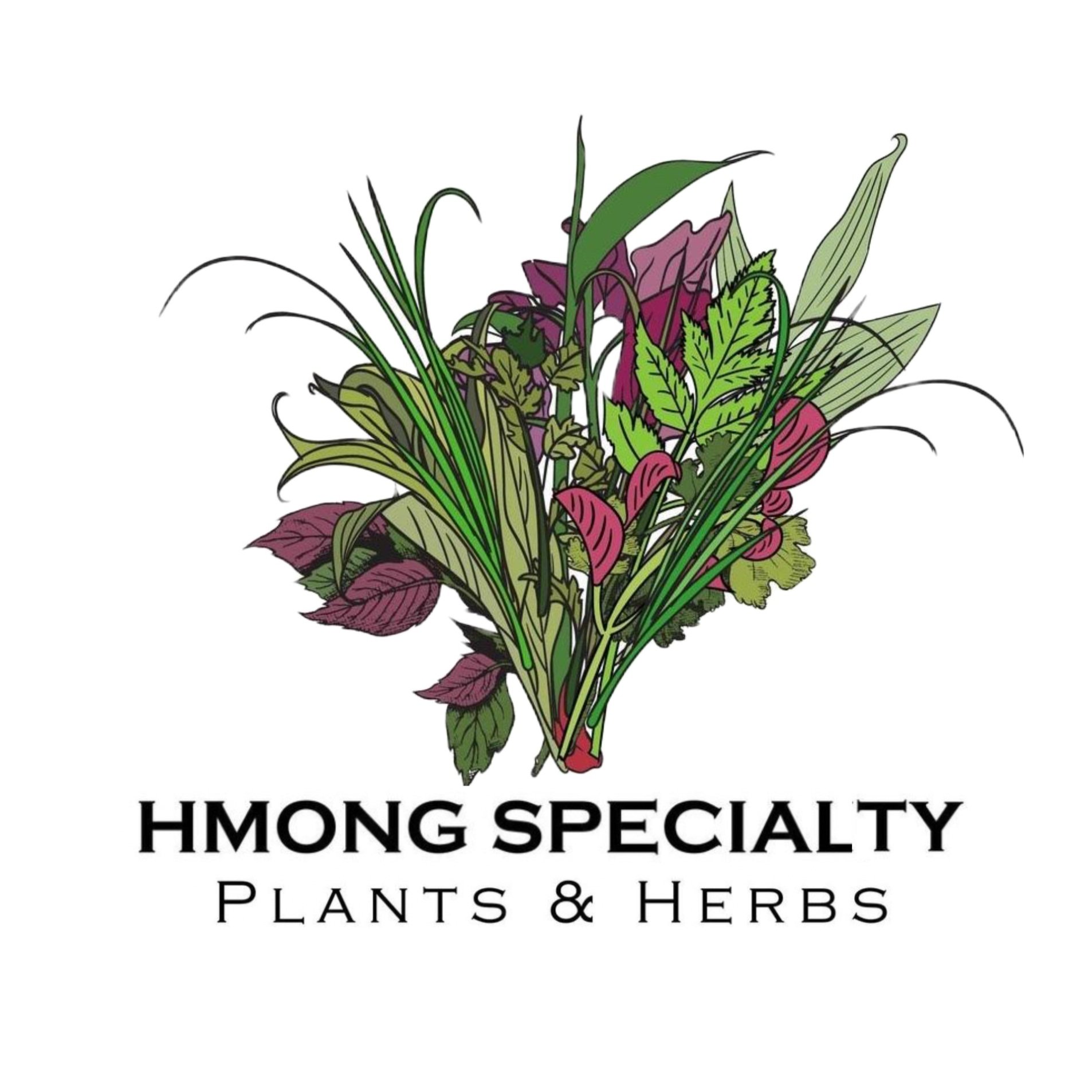 Hmong Specialty Plants &amp; Herbs