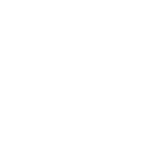 Agente 129