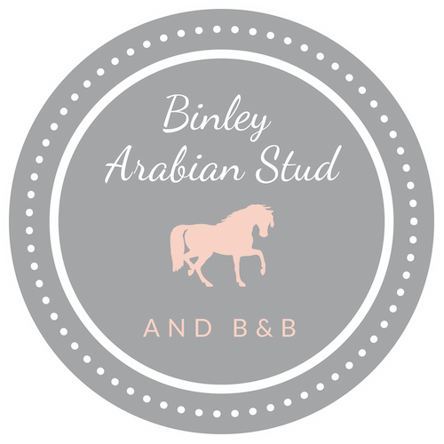 Binley Arabian Stud