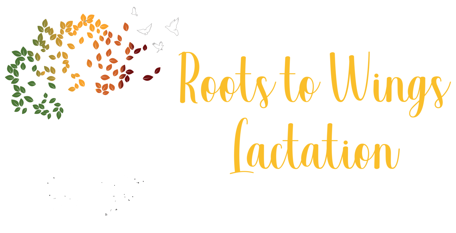 Roots to Wings Lactation | Shannon Gill, IBCLC