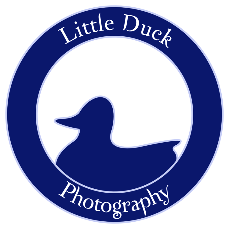 Little Duck Photography