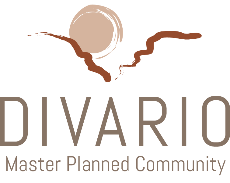 Divario